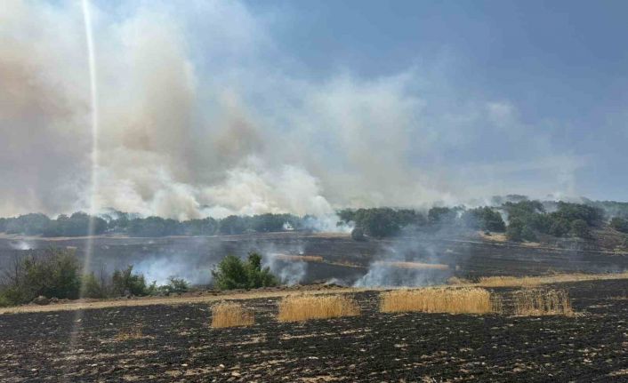 Çorum’da tarlada çıkan yangın ormanlık alana ulaşmadan kontrol altına alındı