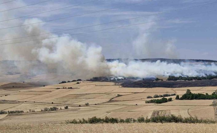 Çorum’da tarlada çıkan yangında 200 dönüm ekili arazi kül oldu
