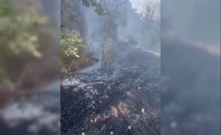 Datça’da kuru ot yangını korkuttu