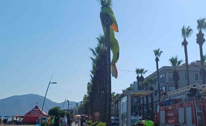 Deniz paraşütü palmiyeye takıldı