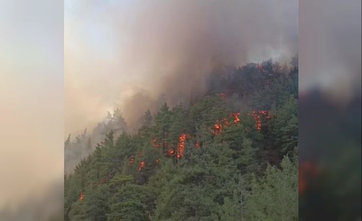 Denizli’de boş evde çıkan yangın ormana sıçradı