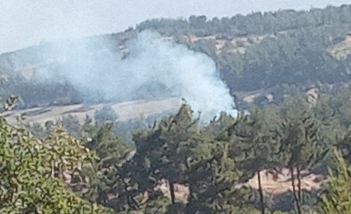 Denizli’de sabaha karşı başlayan orman yangını hızlı müdahaleyle söndürüldü