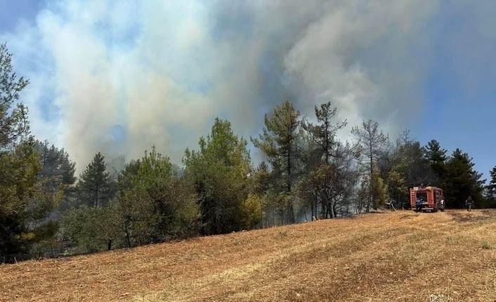 Denizli’de saman basma makinasından başlayan yangın kısa sürede kontrol altına alındı