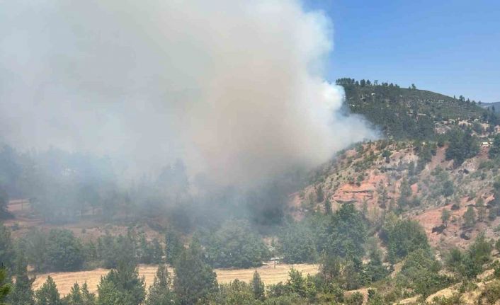 Denizli’deki orman yangını kısmen kontrol altına alındı