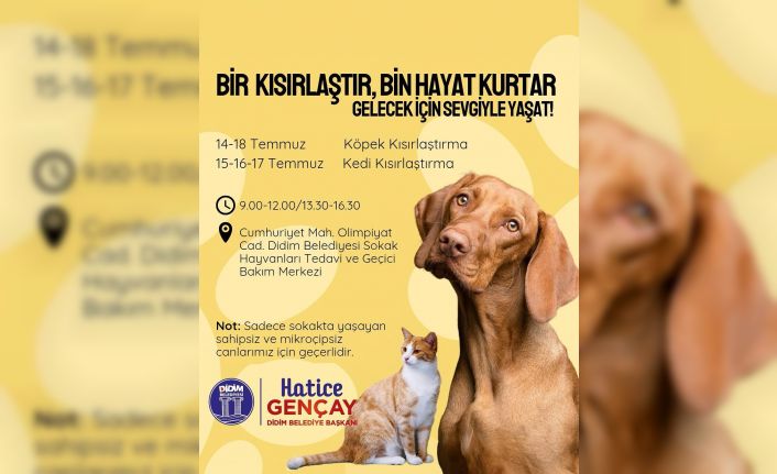 Didim Belediyesi’nden sokak hayvanlarına ücretsiz kısırlaştırma hizmeti