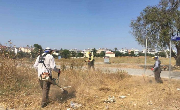 Didim genelinde temizlik ve yeşil alan bakımları yaz boyunca devam edecek