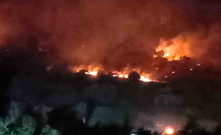 Dikili’de orman yangını: Çanakkale yolu ulaşıma kapatıldı