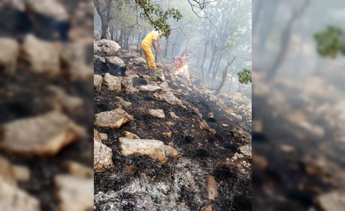 Diyarbakır’da orman yangınına helikopter destekli müdahale sürüyor