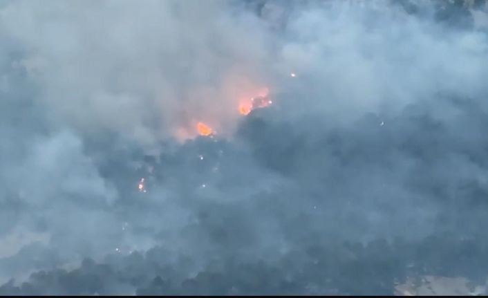 Diyarbakır’da ziraat arazisinde başlayıp ormanlık alana sıçrayan yangın 10 saat sonra söndürüldü