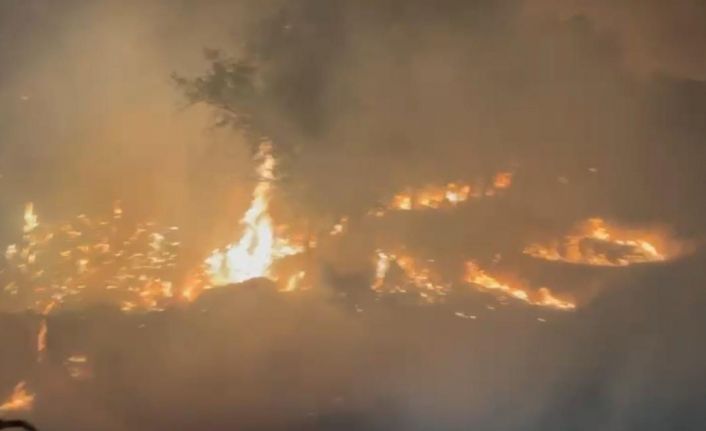 Diyarbakır’ın Ergani ve Lice ilçelerindeki yangın söndürüldü
