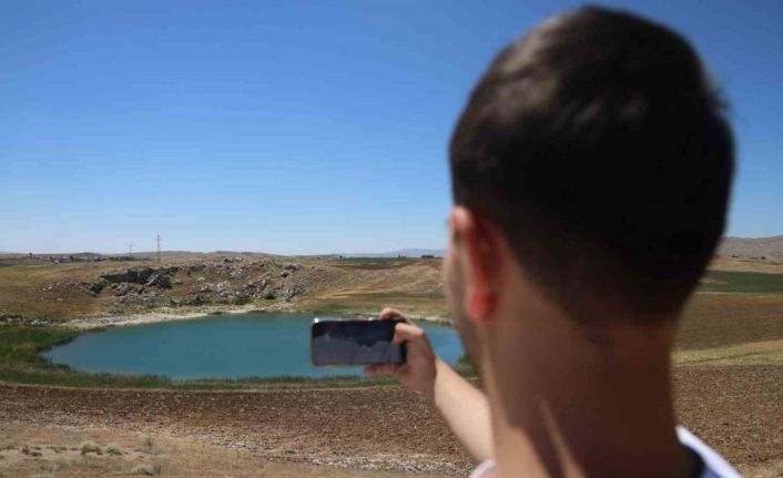 Doğanın gözlerinde kene sessizliği