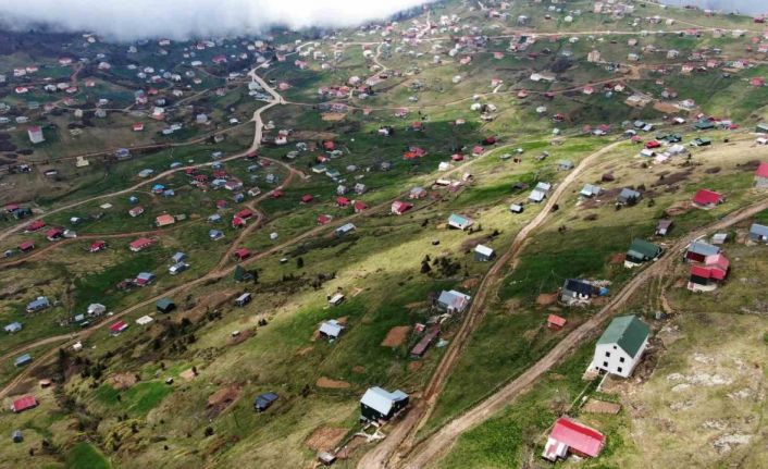 Doğu Karadeniz’deki yaylalar kaçak betonlaşma tehdidi altında