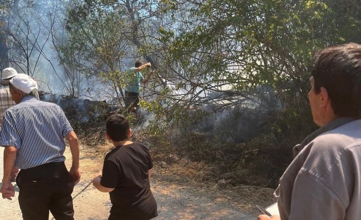 Domaniç’te bahçelik alanda çıkan yangın kısa sürede kontrol altına alındı