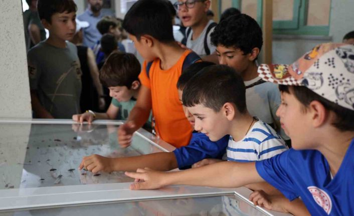 Dondurulmuş hayvan müzesine büyük ilgi