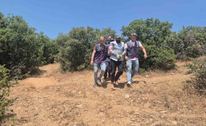Donmamak için öldürdüğü hayvanların derisinden elbise yapıp 7 ay ormanda saklandı