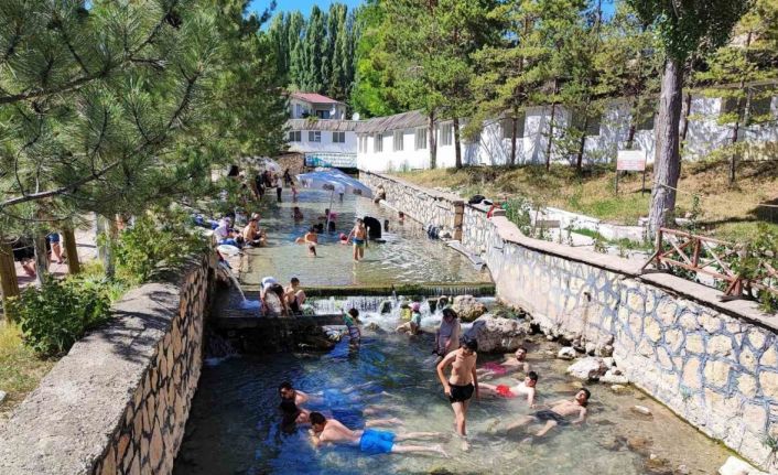 Dünyaca ünlü ‘doktor balıklar’ mührün kaldırılmasını bekliyor