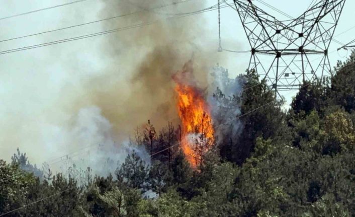 Düzce - Sakarya sınırında çıkan orman yangınına müdahale sürüyor
