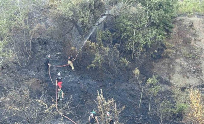 Düzce-Sakarya sınırındaki orman yangını kontrol altına alındı