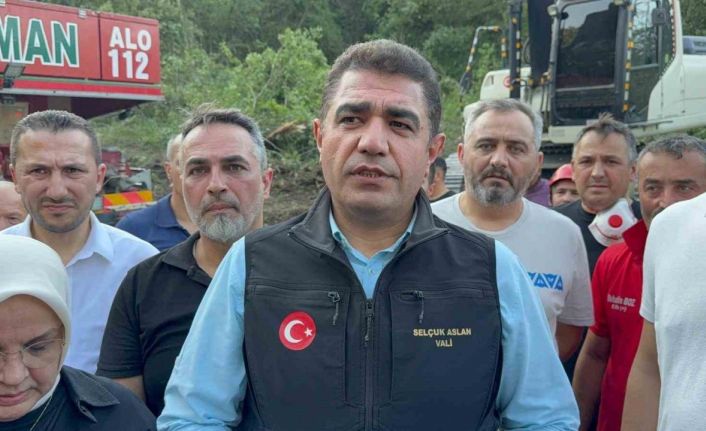 Düzce Valisi Selçuk Aslan: "Yangını kontrol altına aldık diyebiliriz"