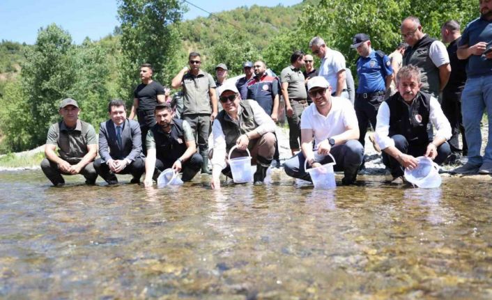 Düzce’de 20 bin benekli alabalık salındı