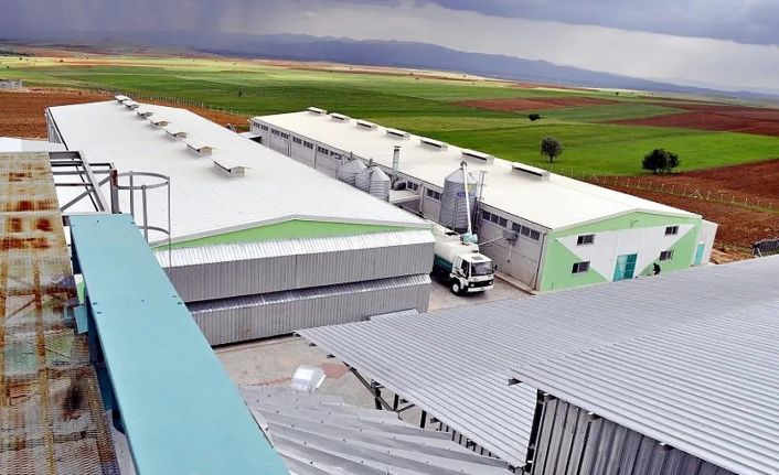 (Düzeltme) Afyonkarahisar’daki yumurta firmasına, FETÖ soruşturması kapsamında kayyum atandı