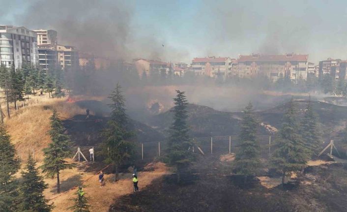 Edirne’de çıkan yangın tarihi tabyaya zarar verdi