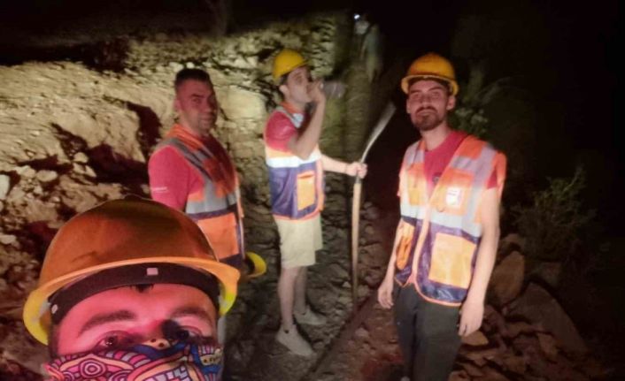 Edremit’te zeytinlik alanda çıkan yangın kontrol altına alındı