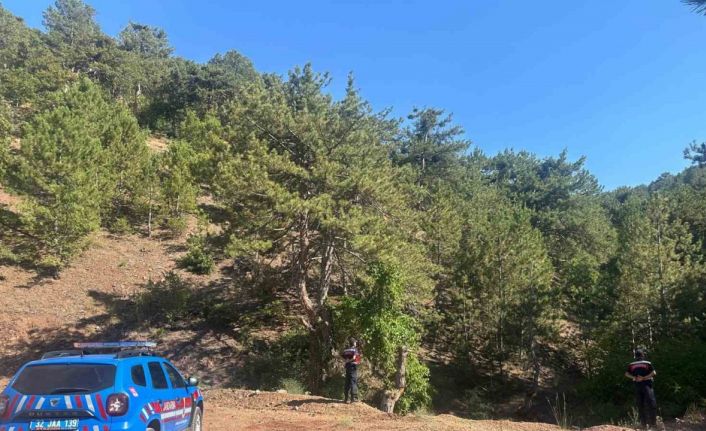 Eğirdir’de ormanlık alanlarda sıkı denetim