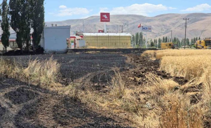 Elazığ’da 23 dönüm buğday, yanarak kül oldu