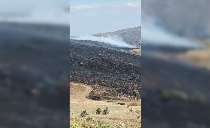 Elazığ’da arazi yangını