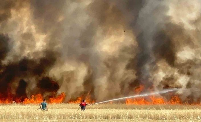 Elazığ’da arazi yangını: Ekili alanlar da küle döndü