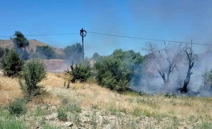 Elazığ’da korkutan yangın: Onlarca dönümlük alan kül oldu