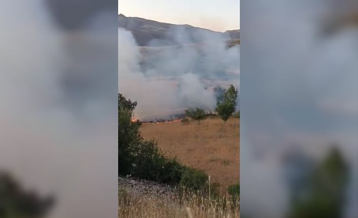 Elazığ’da otluk alanda yangın