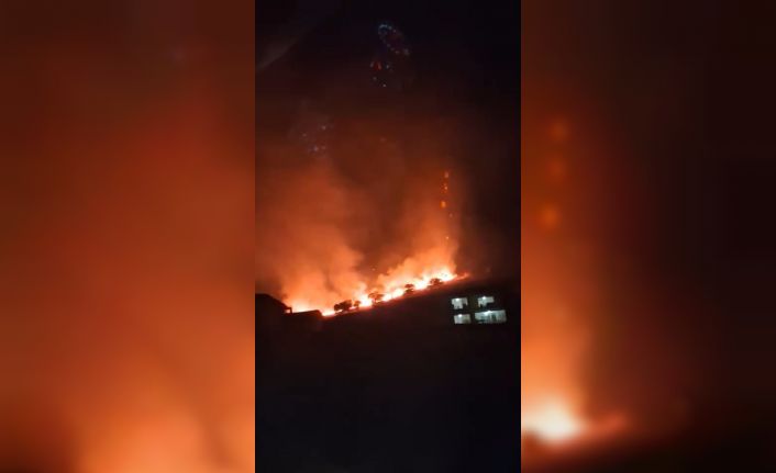 Elazığ’daki örtü yangını söndürüldü