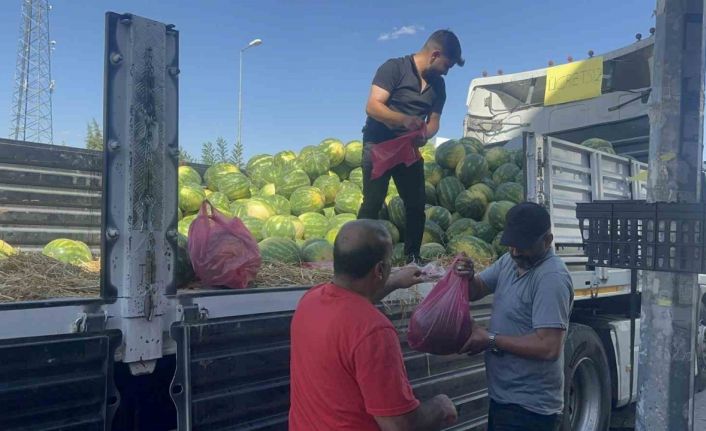 Elazığlı esnaf 30 ton karpuzu ücretsiz dağıttı