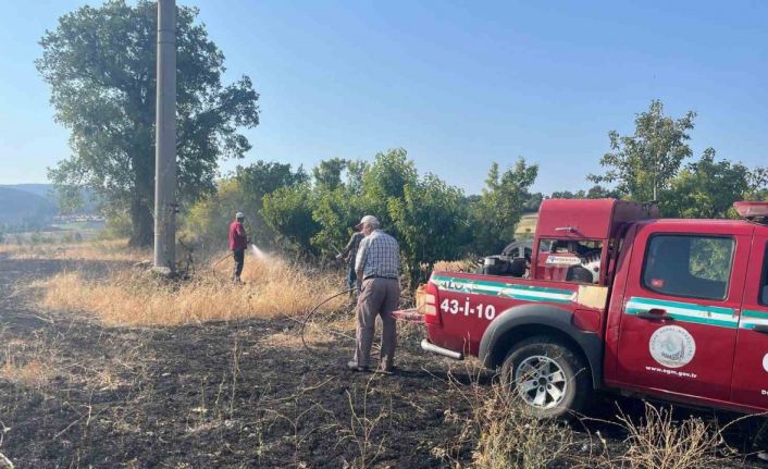 Elektrik akımına kapılan kuş yangına neden oldu