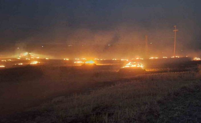 Elektrik direğinden çıkan kıvılcım 50 dönüm araziyi yaktı