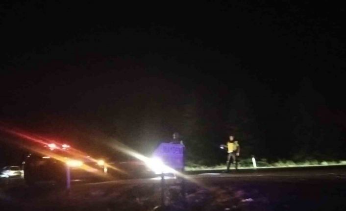 Elektrik tellerine çarpan kuş yangına sebep oldu