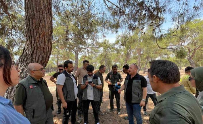 Erdemli Orman İşletmesinde ’Yenilikçi Barkod Sistemi Eğitimi’ verildi