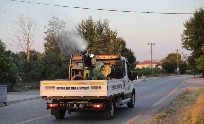 Erenler’de ilaçlama çalışmaları titizlikle sürüyor
