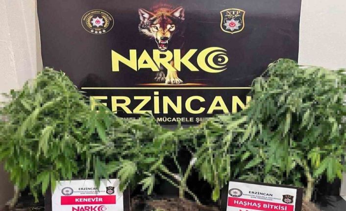 Erzincan polisi uyuşturucuya geçit vermiyor