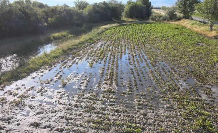 Erzincan’da çiftçilerin kanal isyanı: "Bir senenin emeği sular altında kaldı"
