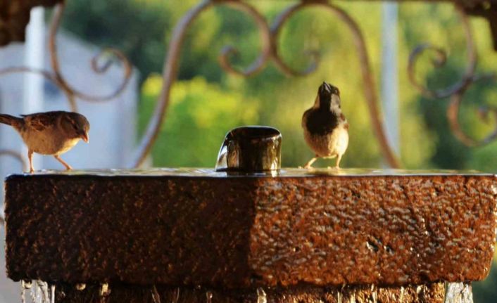 Erzurum ve çevresi için kavurucu sıcaklık uyarısı