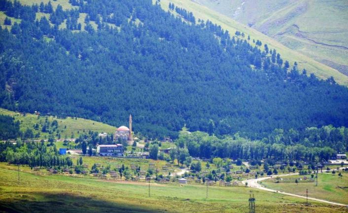 Erzurum’da orman yangınlarına karşı bir dizi tedbirler alındı