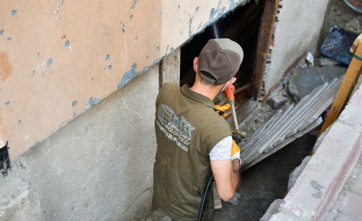 Esenyurt Belediyesi’nden fare ve haşerelere karşı yoğun mücadele