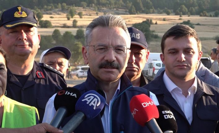 Eskişehir Valisi Aksoy: "Yangında 60 hektar alan zarar gördü"
