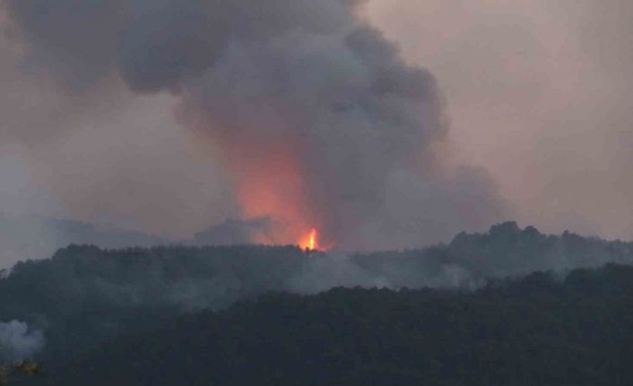 Eskişehir’de orman yangınına havadan müdahaleye ara verildi