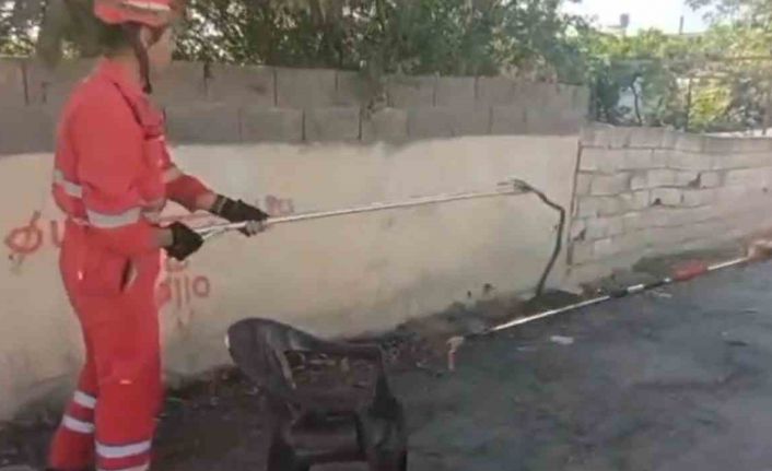 Evin bahçesine giren yılanı itfaiye yakaladı