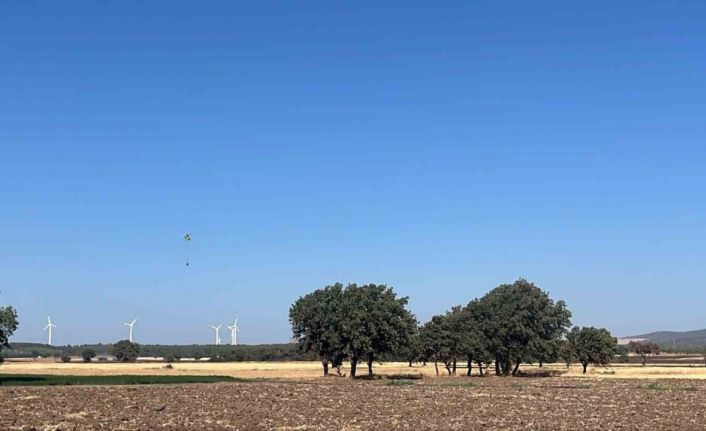 Ezine’de tarım arazisinde çıkan yangın kontrol altına alındı