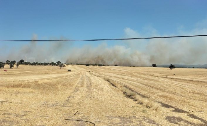 Ezine’de tarım arazisinde yangın